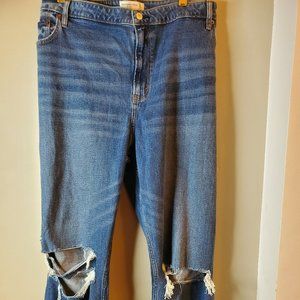 NWT Abercrombie and Fitch plus size 24 The Mom High Rise Curve Love